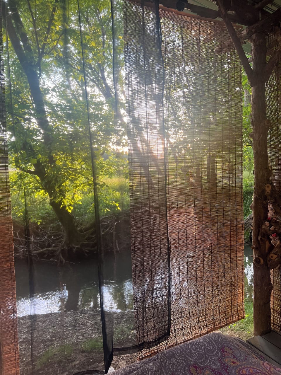 View from property