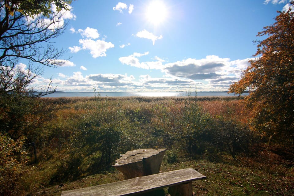 Mobile Home | View from property