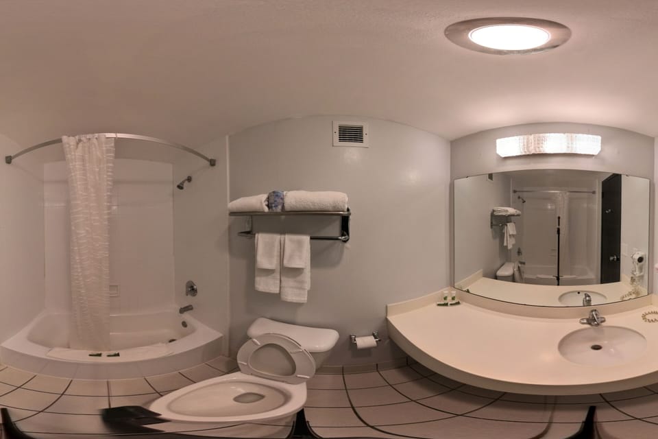 Standard Room, 1 King Bed, Non Smoking | Bathroom | Free toiletries, towels, soap, shampoo