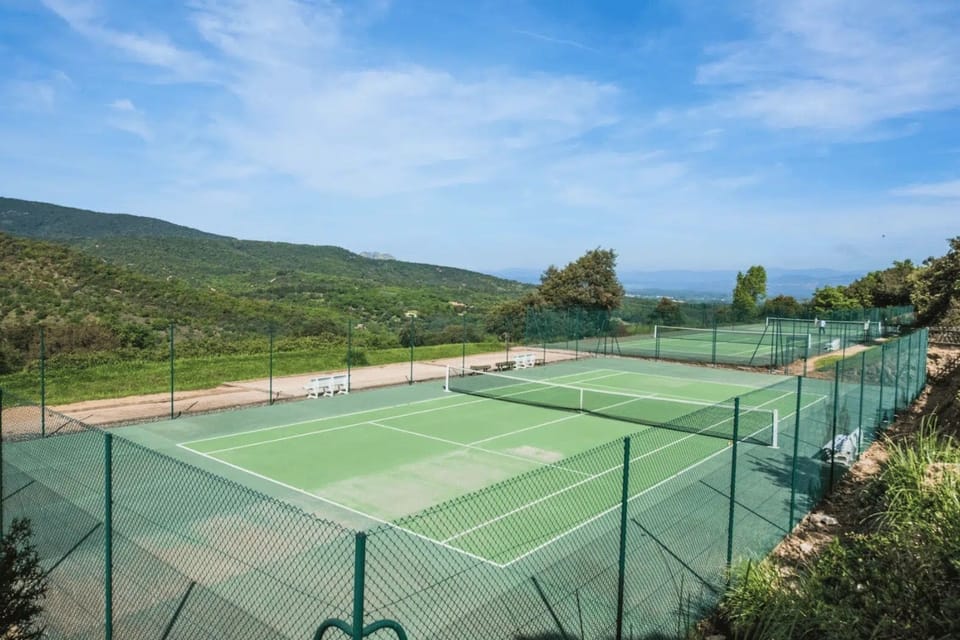 Sport court