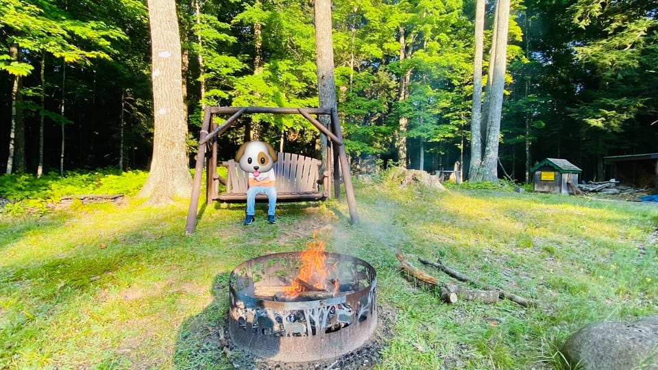 A swing near the firepit