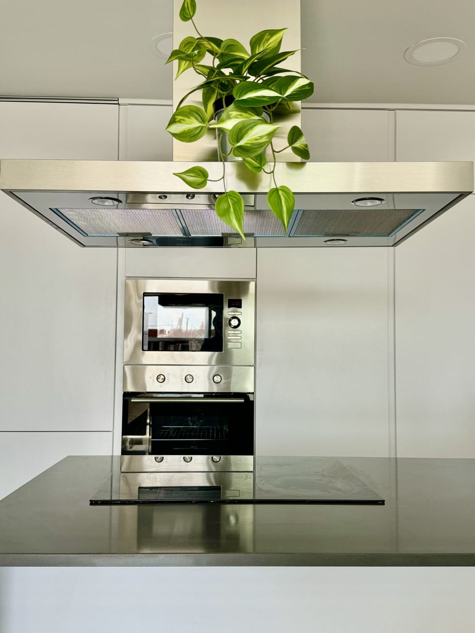 Apartment | Private kitchen