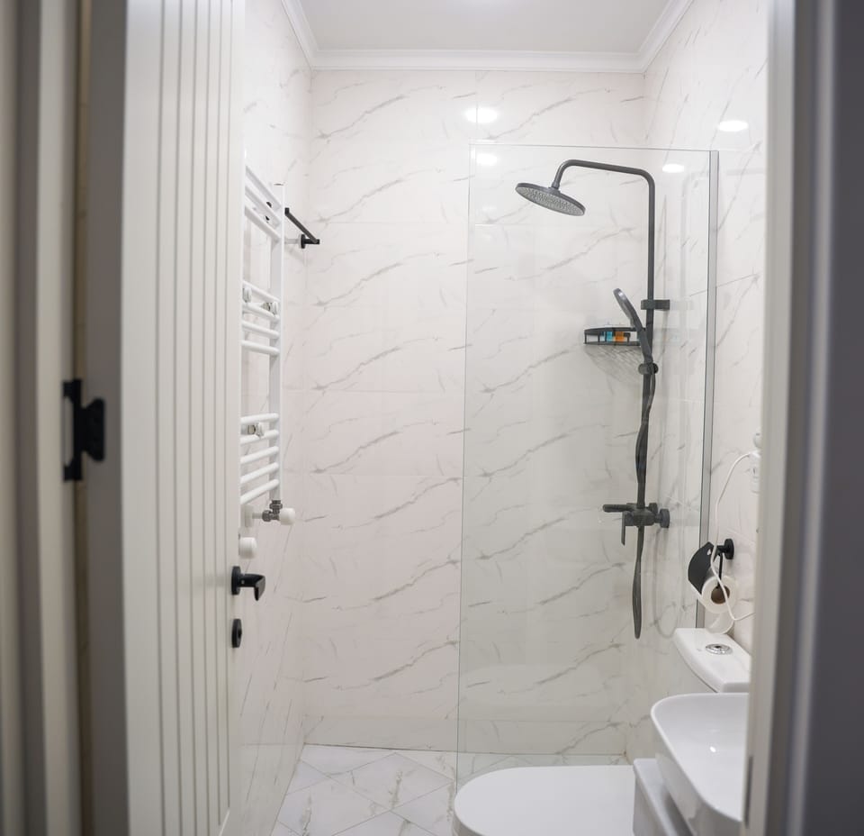 Shower, hair dryer, slippers, bidet