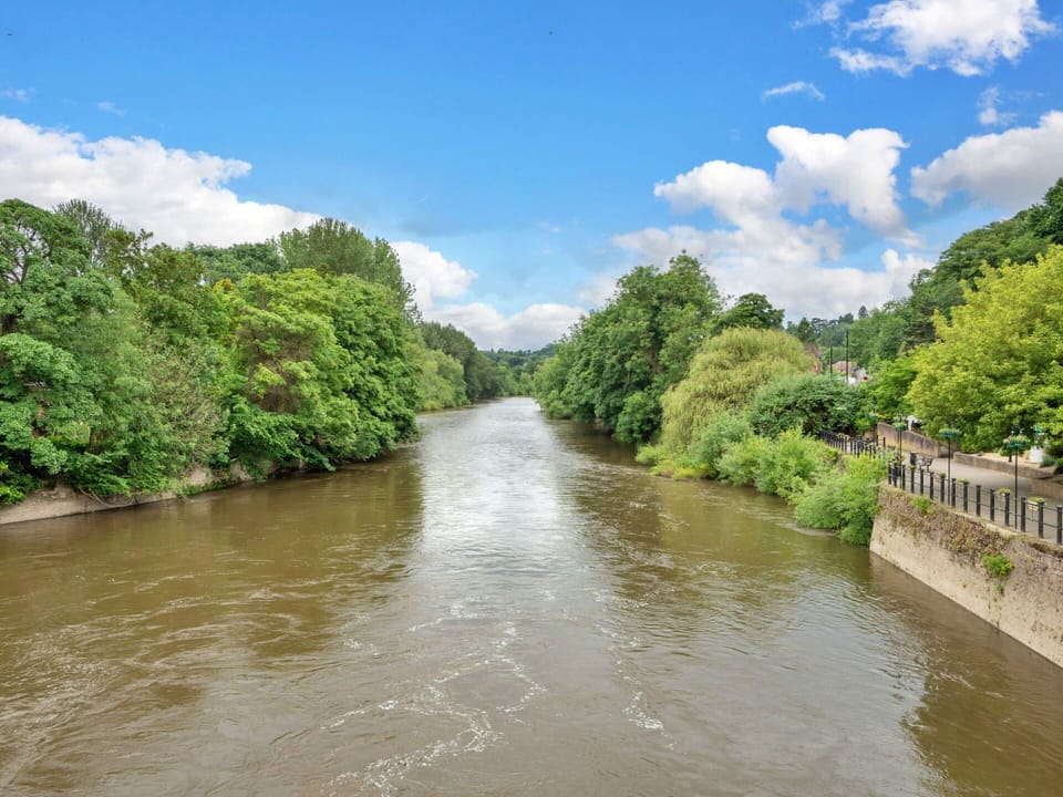 Water Resources, Water, Tree, Watercourse, Body Of Water, Nature, Natural Environment, Waterway, Vegetation