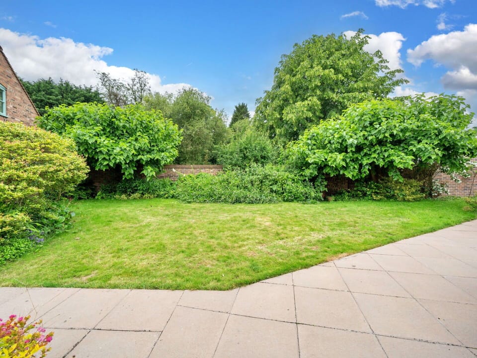 Green, Shrub, Garden, Groundcover, Lawn, Landscaping, Walkway, Yard, Backyard, Park