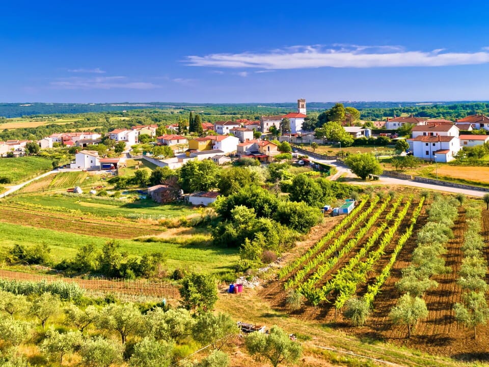 Landscape, Rural Area, Agriculture, Field, Plantation, Tower, Meadow, Village, Farm, Crop