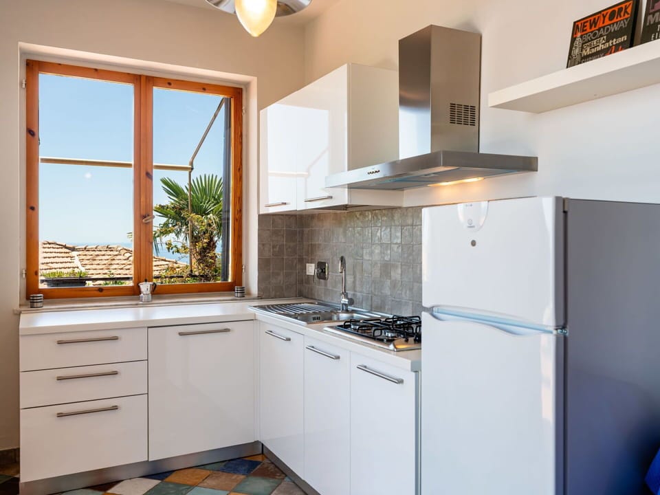 Kitchen Appliance, Kitchen, Countertop, Major Appliance, Cabinetry, Interior Design, Flooring, Wood, Furniture, Home Appliance