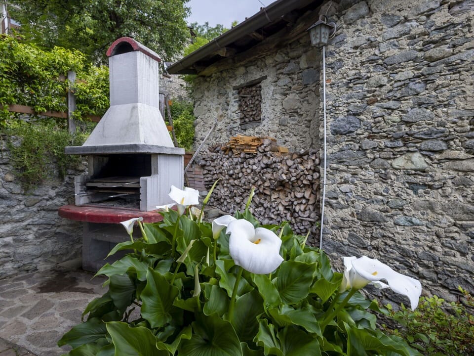 Shrub, Garden, Groundcover, Cottage, Landscaping, Yard, Backyard, Stone Wall