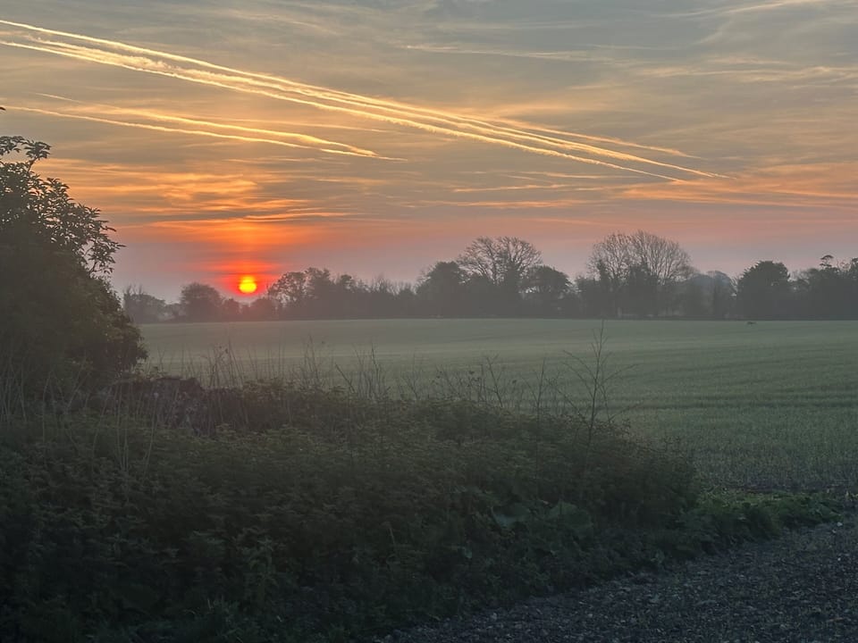 Beautiful local sunrise