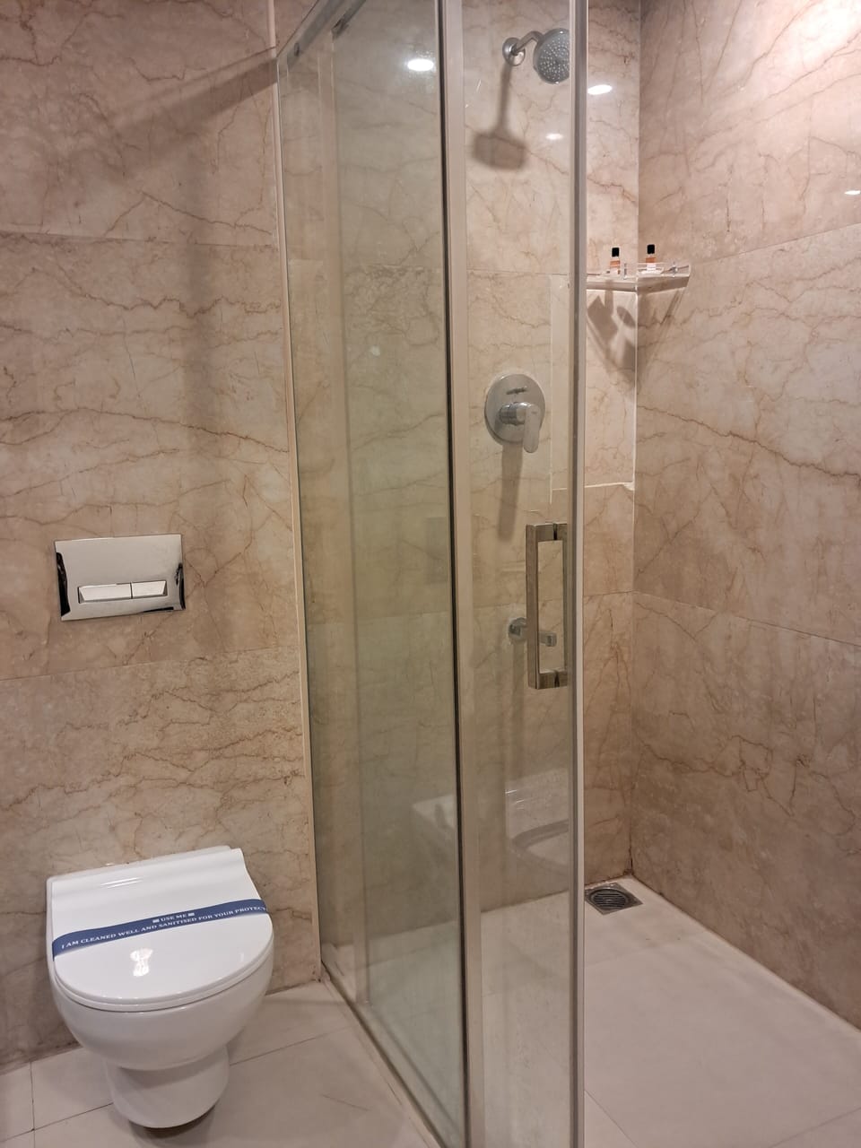 Deluxe Double Room | Bathroom | Shower, free toiletries, towels, soap