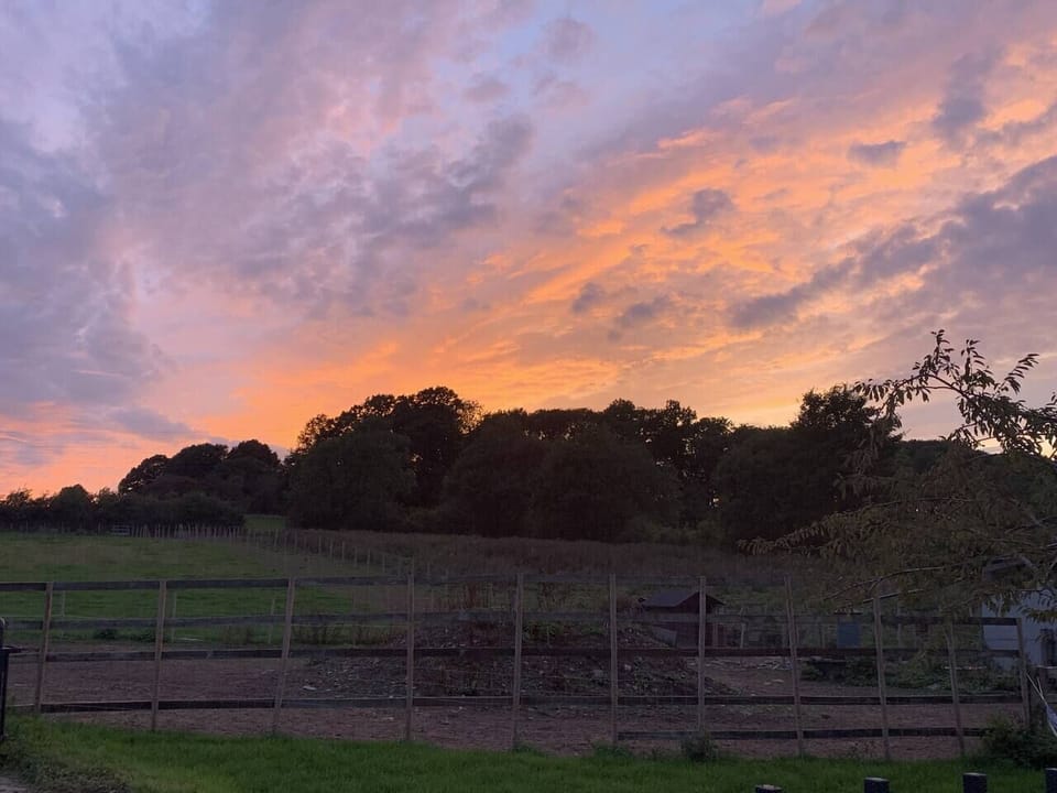 The views and Sunsets