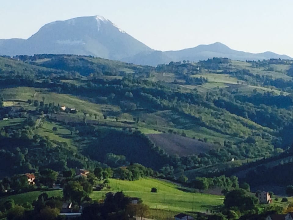 Suite | Premium bedding, minibar, in-room safe, desk