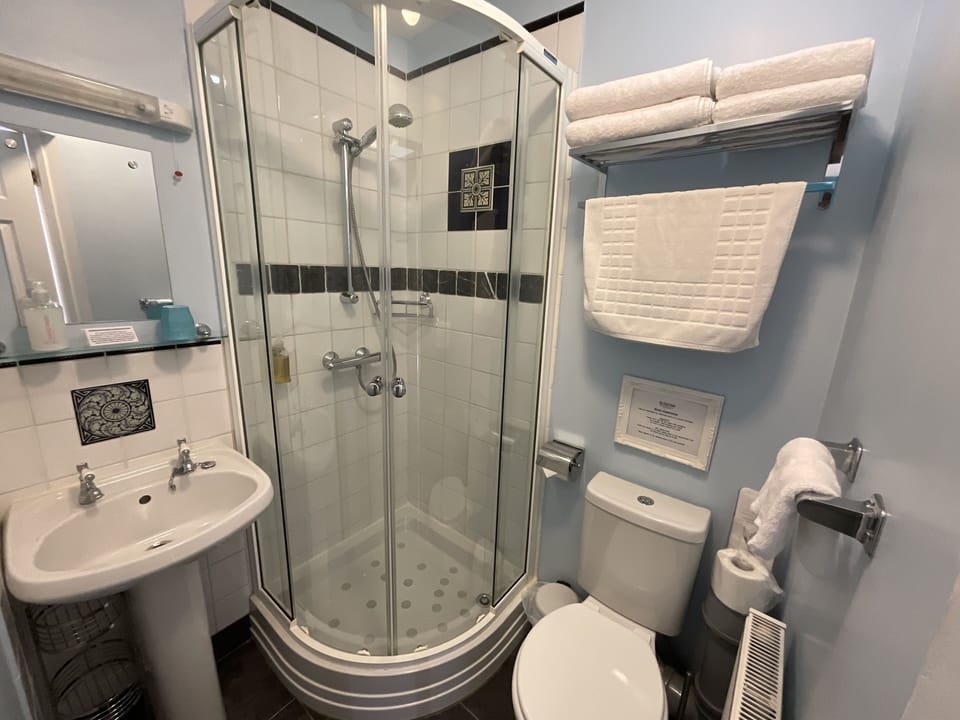 R4 Double En-suite Room (Pet friendly) | Bathroom shower