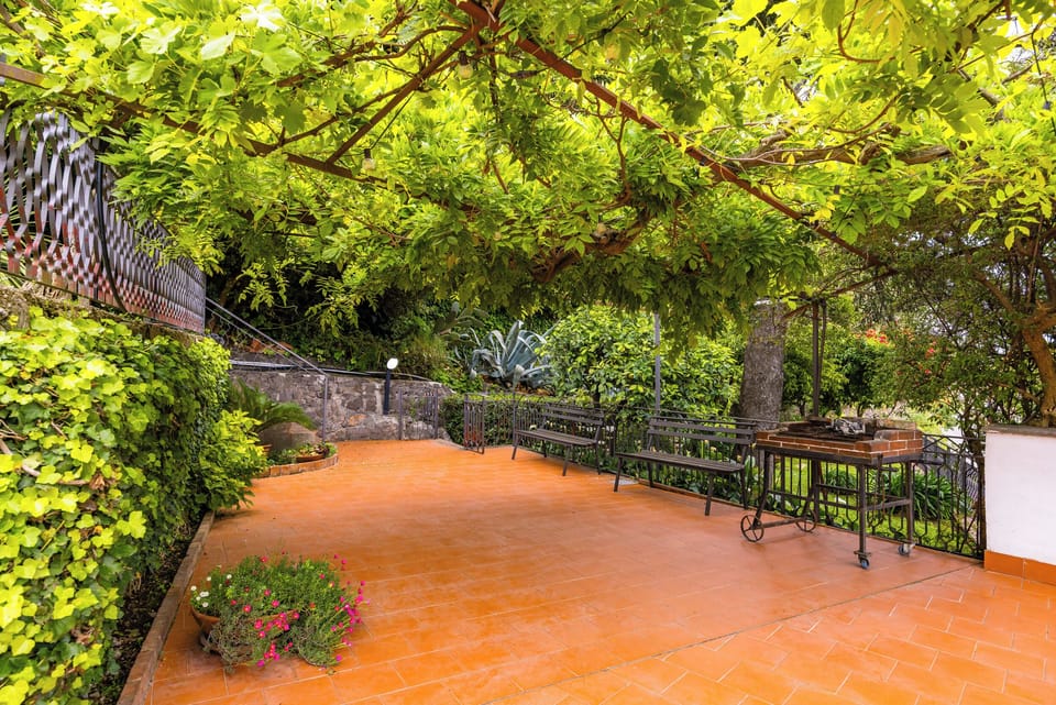 House (2 Bedrooms) | Terrace/patio