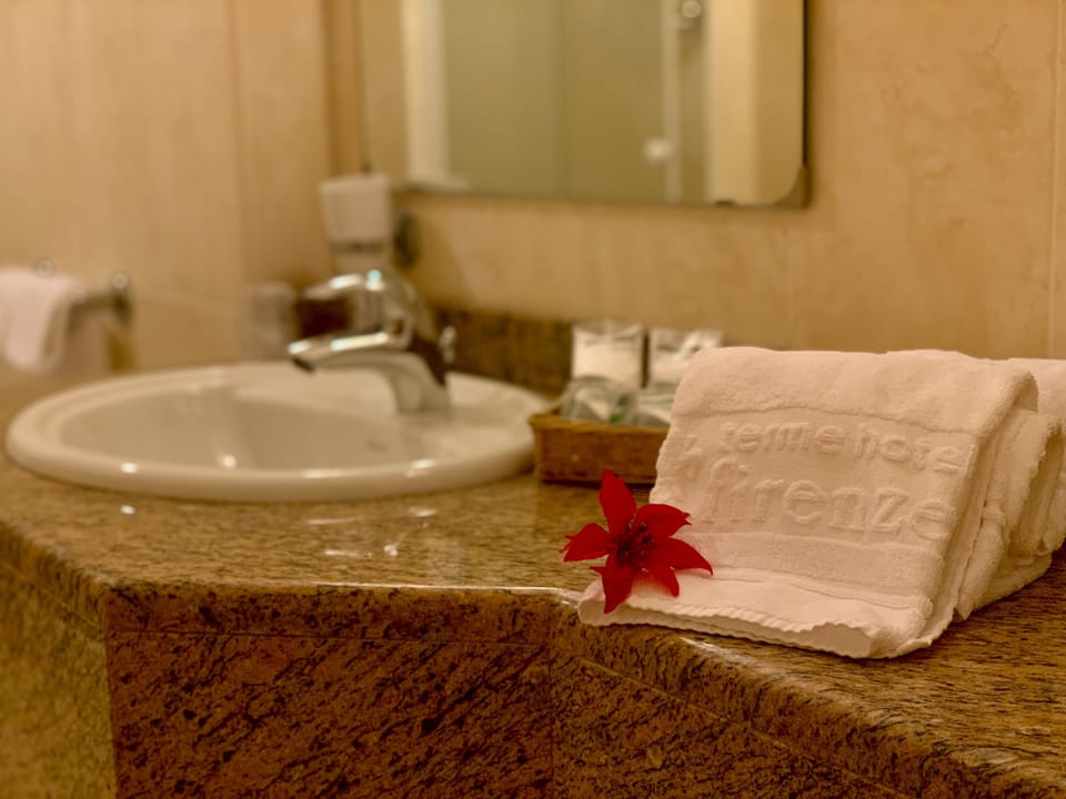 Shower, free toiletries, hair dryer, bidet
