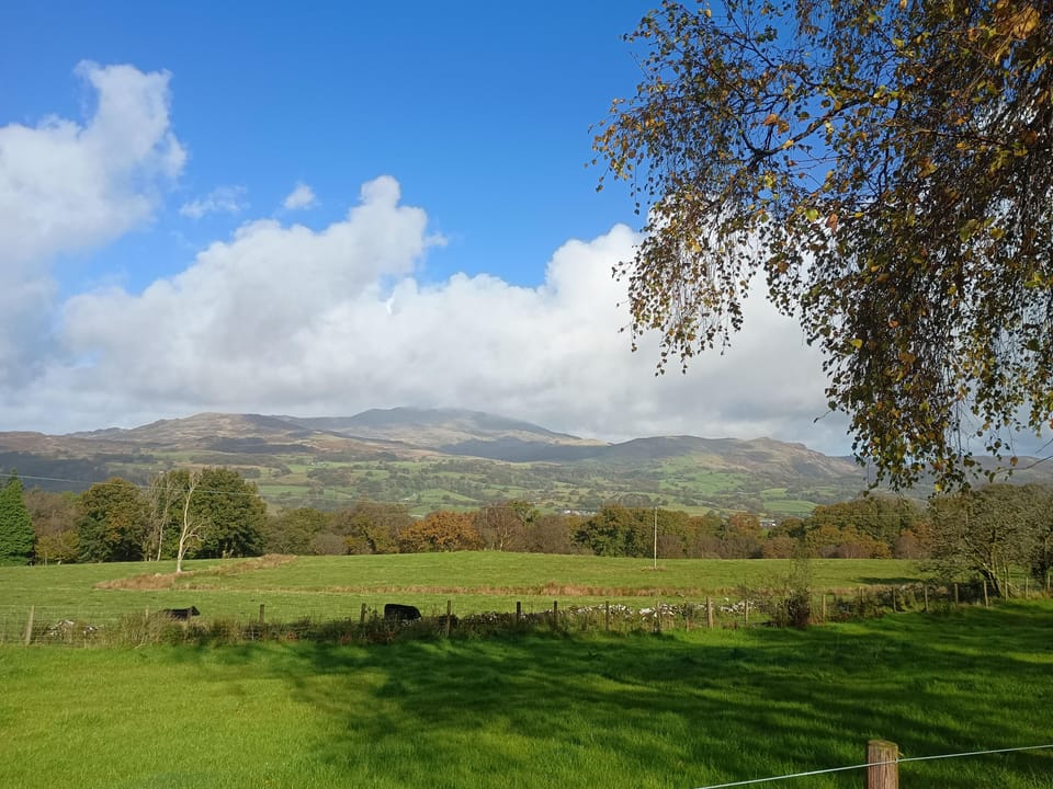 Ty Newydd Uchaf Cottage in Wales