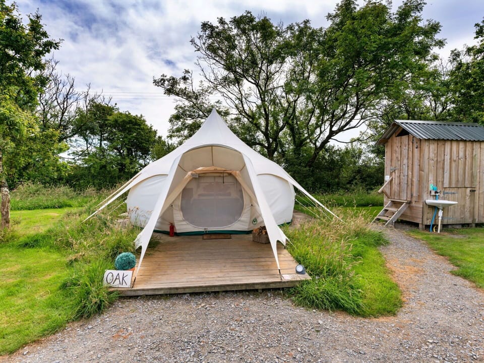 Tent, Camping, Ecoregion, Plant Community, Grassland, Morning, Meadow, Shade