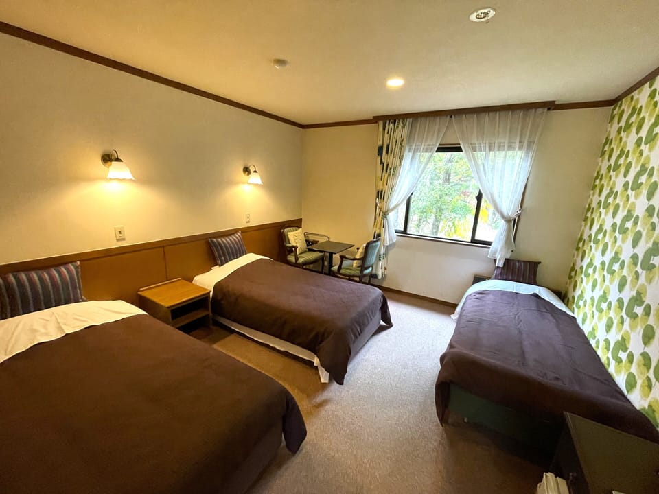 Triple Room, Non Smoking | Down comforters, desk, laptop workspace, blackout drapes