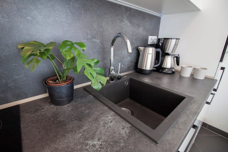Kitchen with coffee maker, dishwasher, stove, microwave, fridge and all necessary things for cooking 
