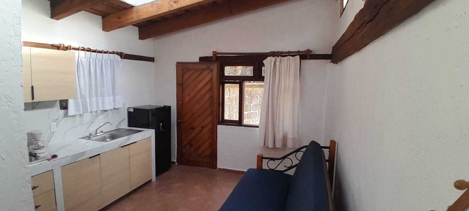 Apartment | Living area | 33-inch flat-screen TV with cable channels, TV, fireplace