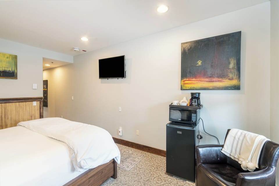Bedroom TV and fridge