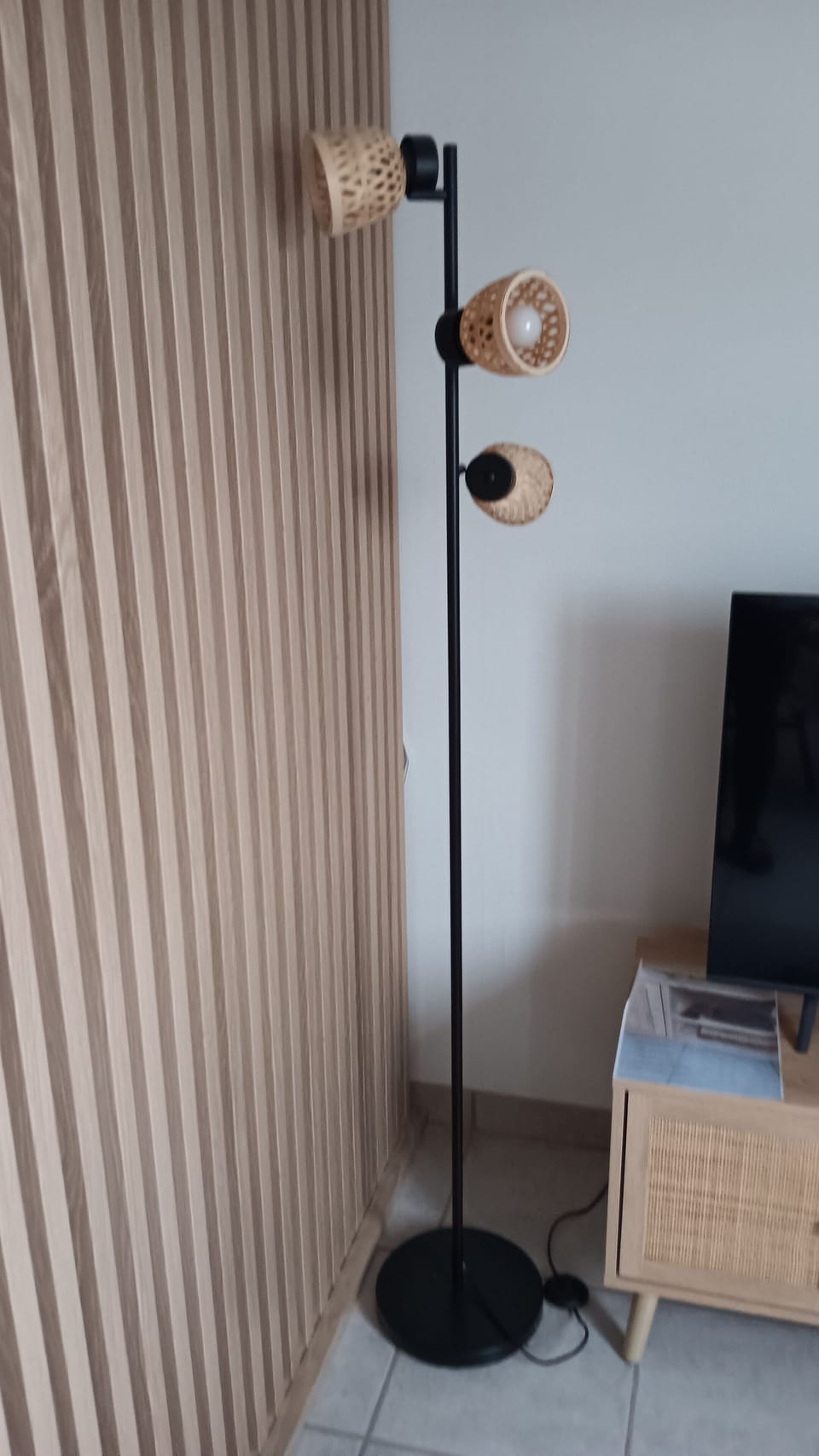 Television