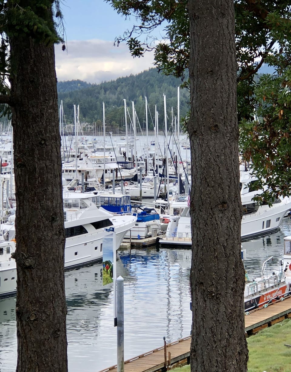 Traditional Room, 1 Queen Bed, Marina View | View from room