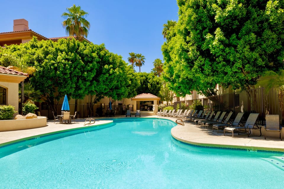 Resort-style pool with lounge seating, palms, and serene shaded surroundings