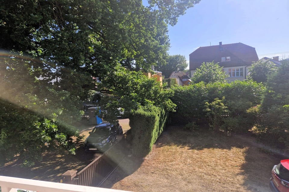 Garden [summer]