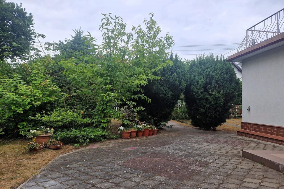 Garden [summer]