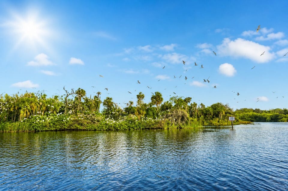 Enjoy the beauty of the Manatee River with calm waters, tropical greenery, and local wildlife all around.