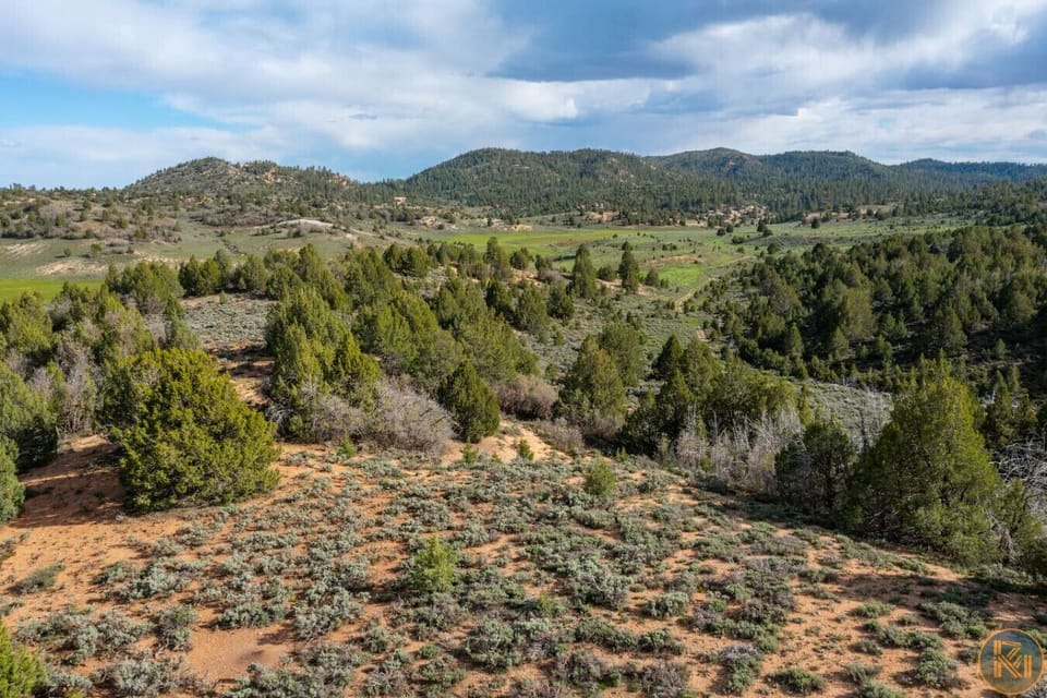 Beautiful Views of the Ranch