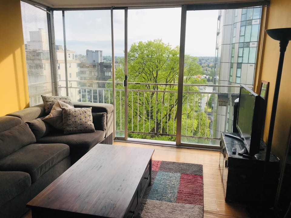 South view of False Creek