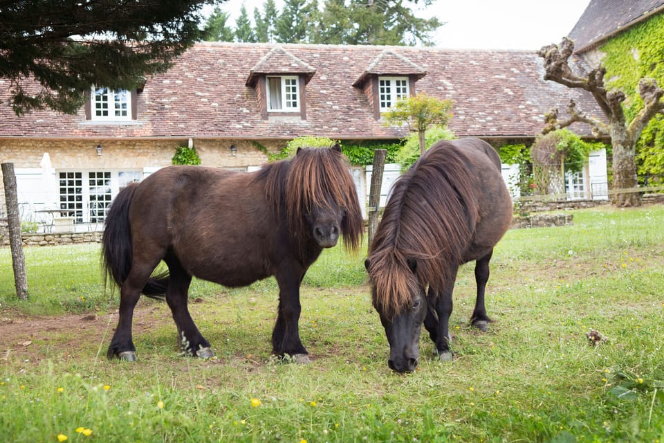 La Métairie Hotel in Nouvelle-Aquitaine
