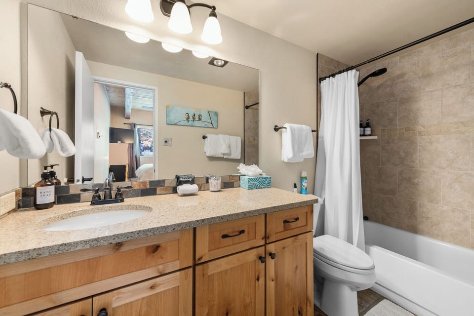 Bathroom 2 - Shower/Tub Combo