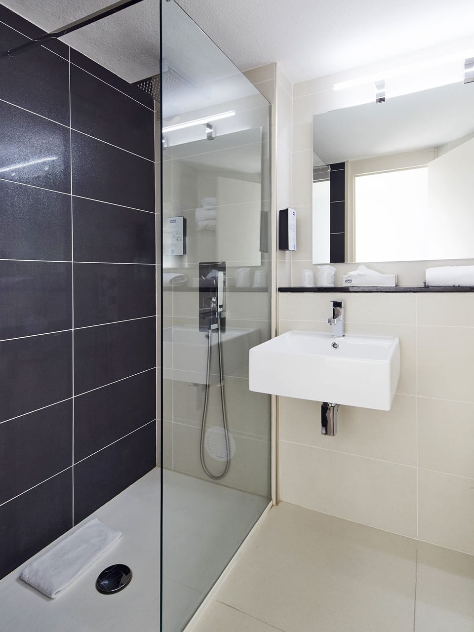 Eco-friendly toiletries, hair dryer, towels