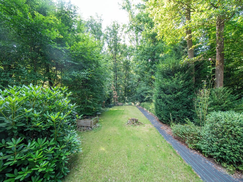 Garden [summer]