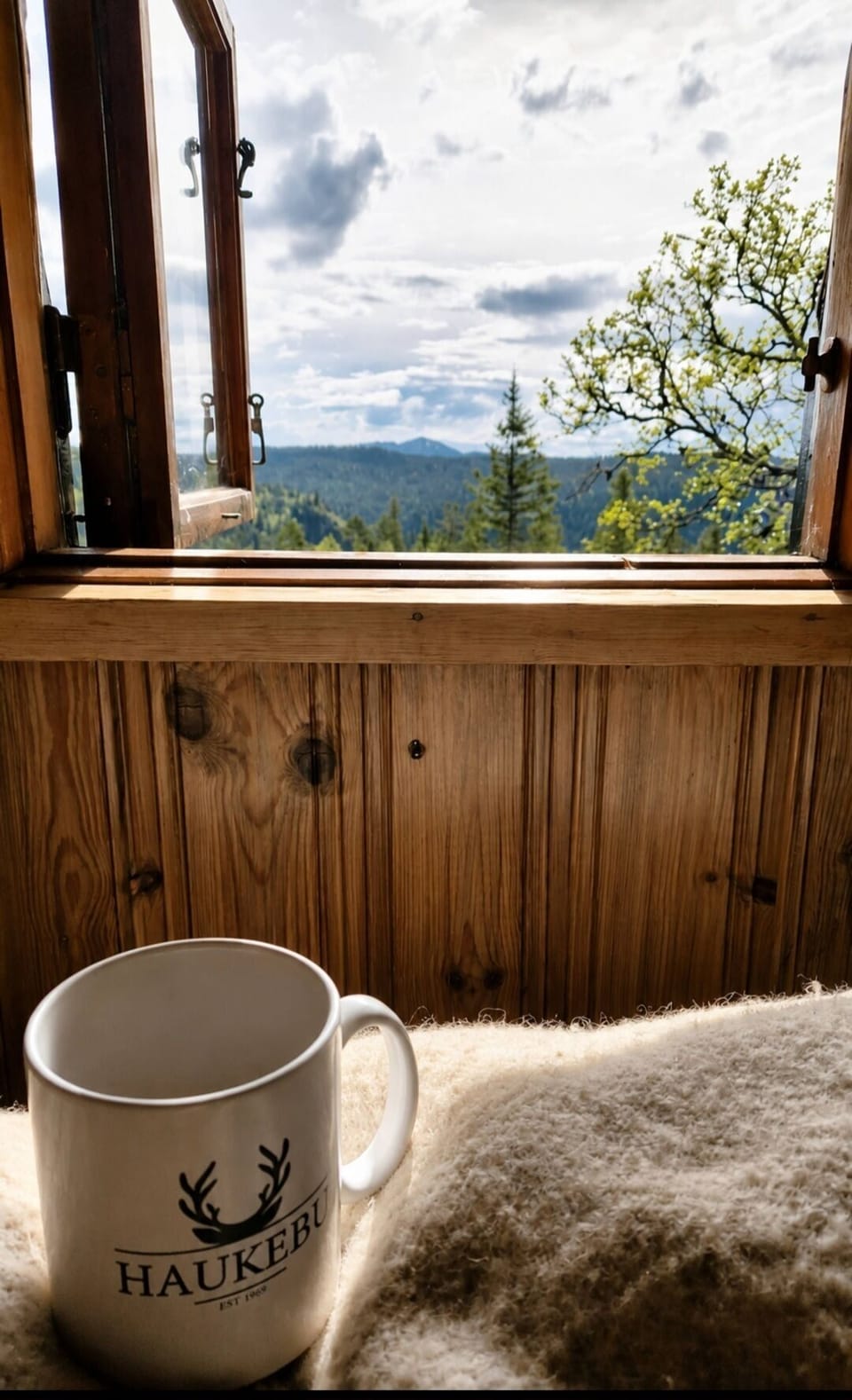View from bedroom