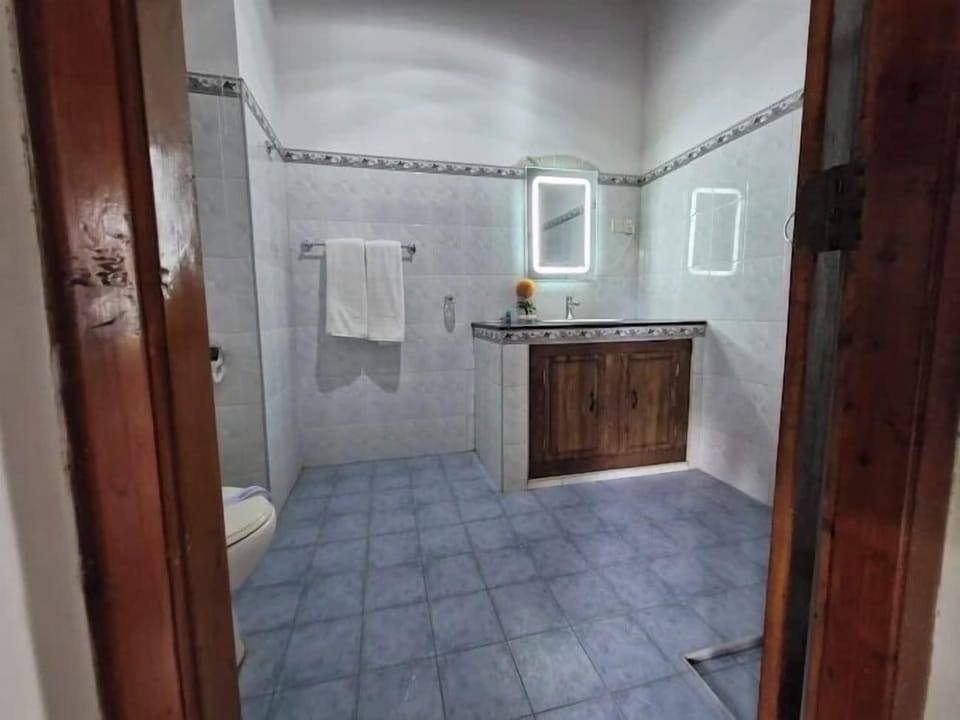 Shower, free toiletries, hair dryer, bidet