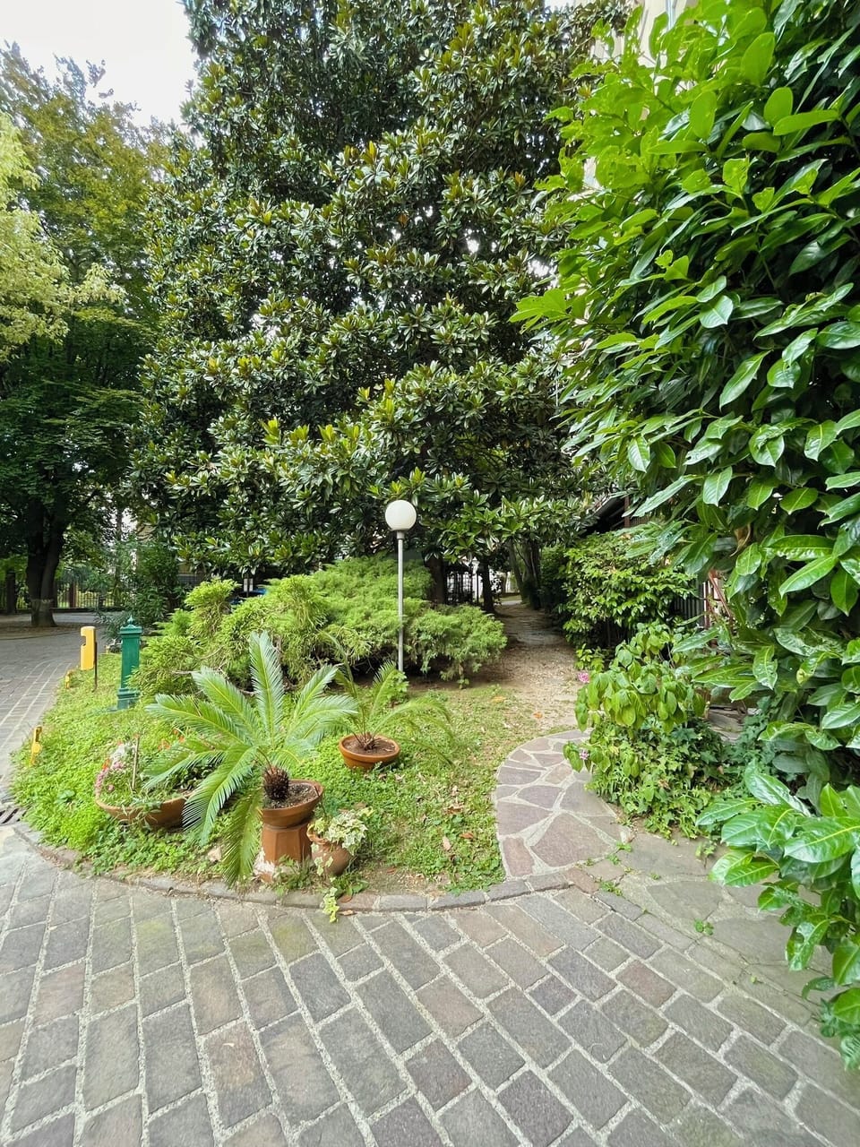 Garden view