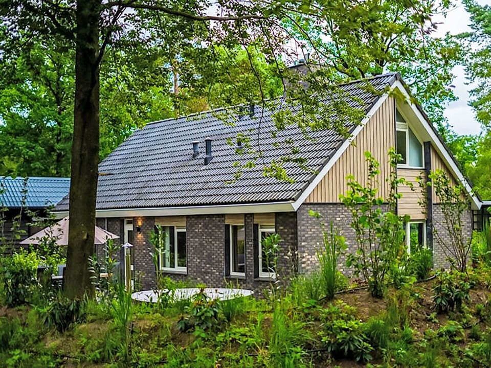 Building, House, Roof, Home, Cottage, Shrub, Siding, Estate, Farmhouse, Yard