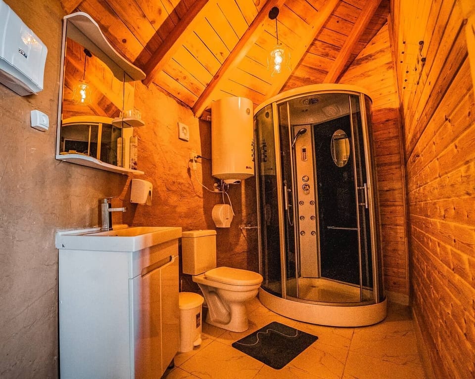 Shower, towels, soap, toilet paper