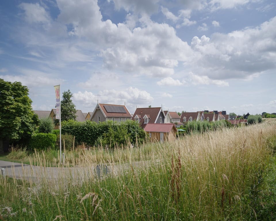 House | View from property