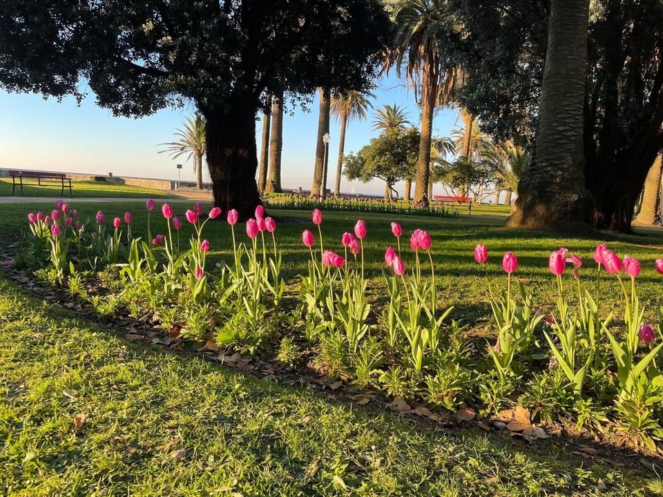 Jardim do Passeio Alegre