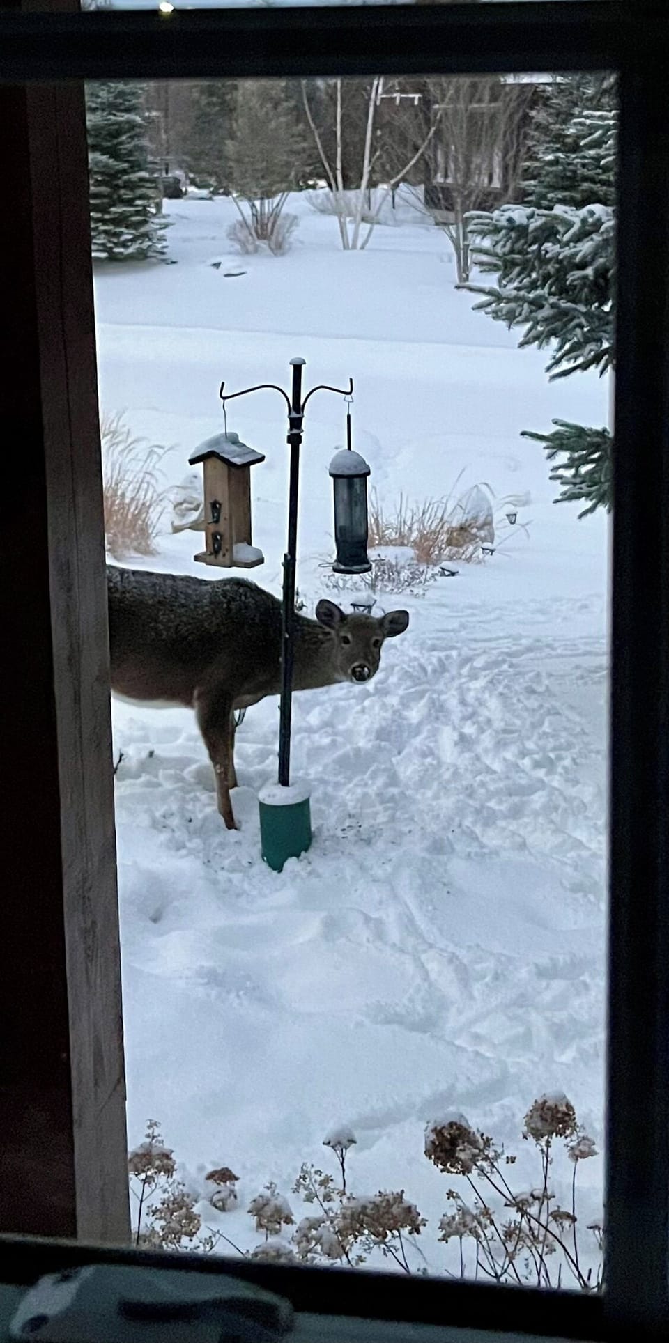View from property