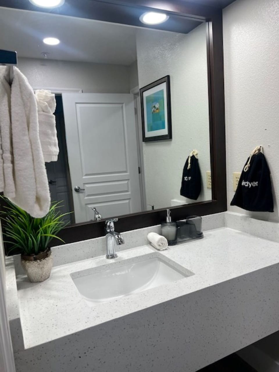 Remodeled Bathroom counters