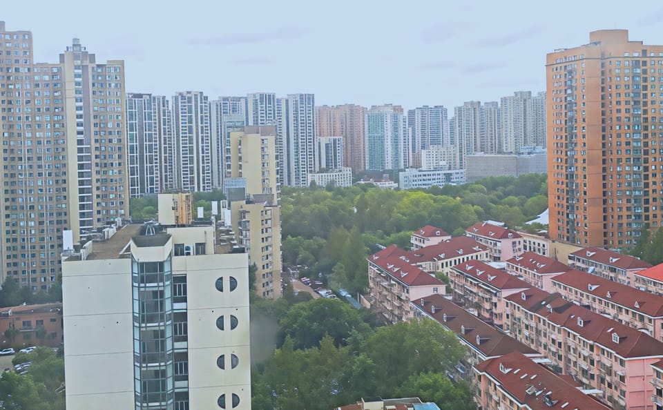 Family Twin Room | View from room
