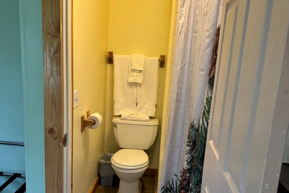Bathroom with toilet and walk-in shower. 