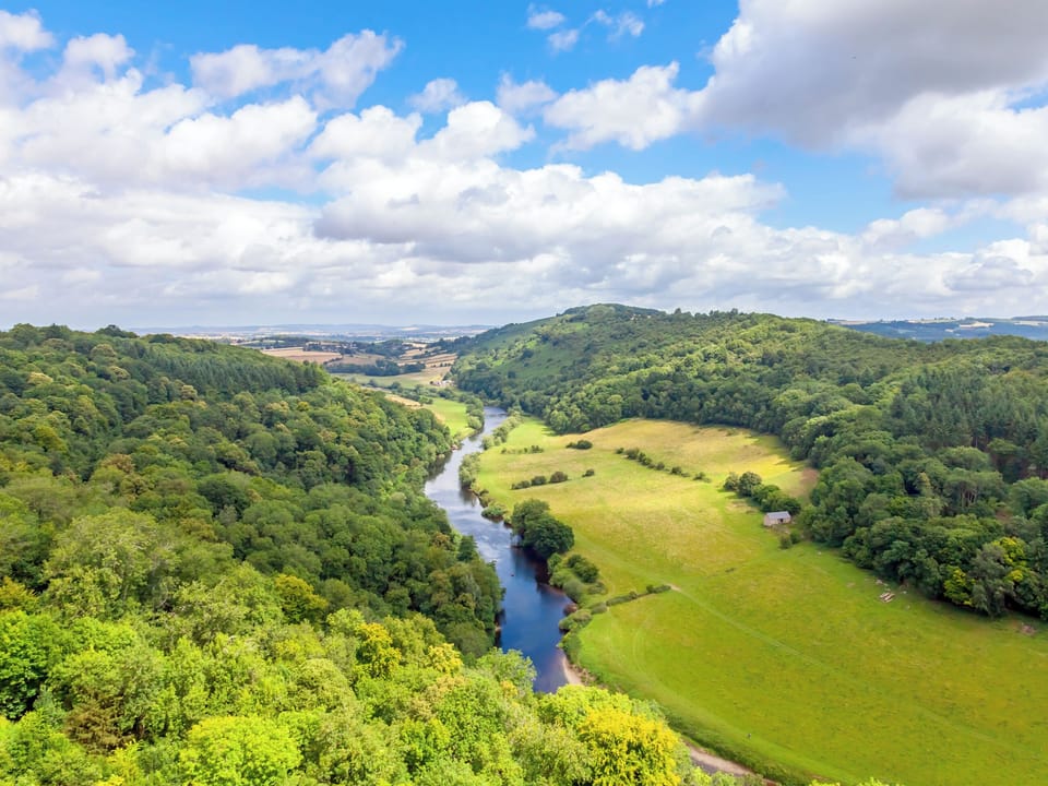 Forest of Dean