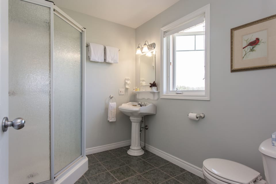 Superior Room, 1 Queen Bed, Ocean View (Sunset) | Bathroom | Free toiletries, hair dryer, towels, soap
